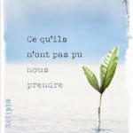 ruta sepetys livre